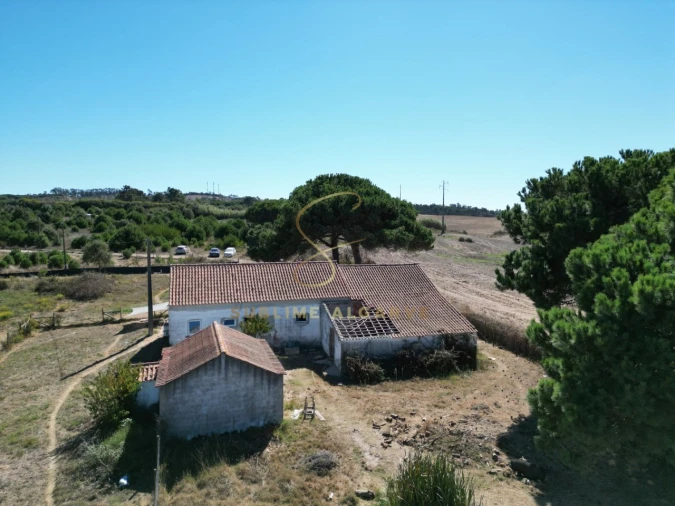 Quinta T3 para Venda em São Teotónio Foto 11