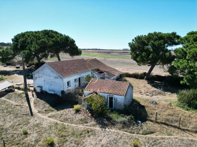 Quinta T3 para Venda em São Teotónio Foto 13