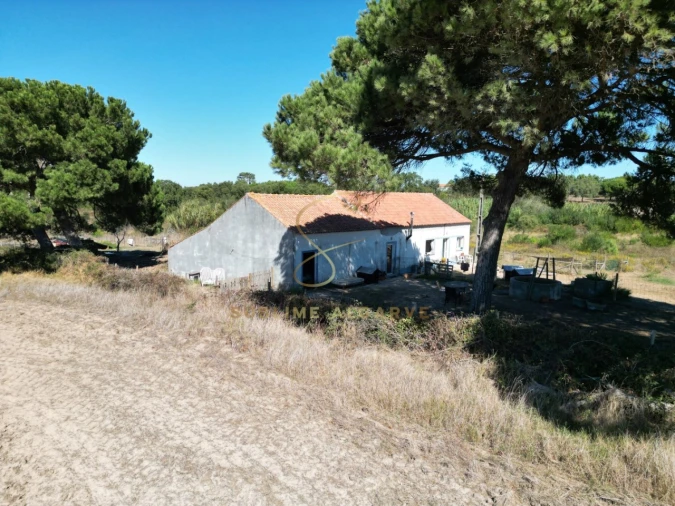 Quinta T3 para Venda em São Teotónio Foto 14