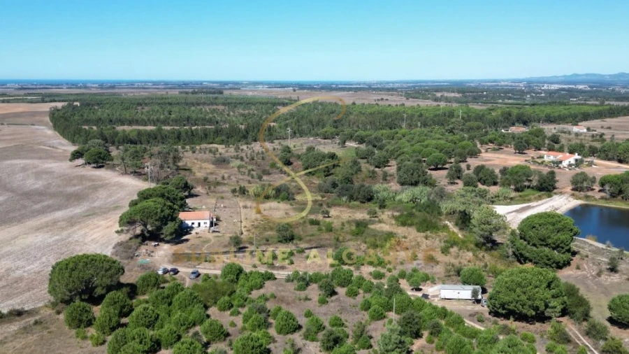 Quinta T3 para Venda em São Teotónio