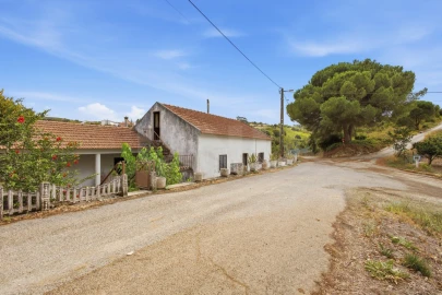 Moradia T2 para Venda em Ribafria e Pereiro de Palhacana