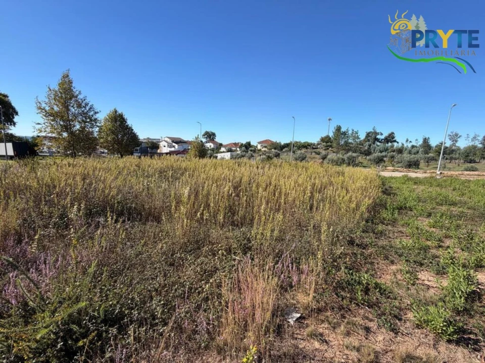 Terreno para Venda em Cernache do Bonjardim, Nesperal e Palhais Foto 1