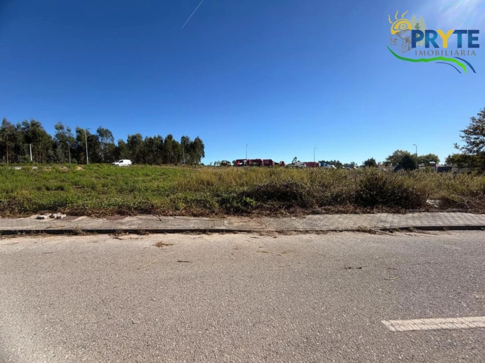 Terreno para Venda em Cernache do Bonjardim, Nesperal e Palhais Foto 4