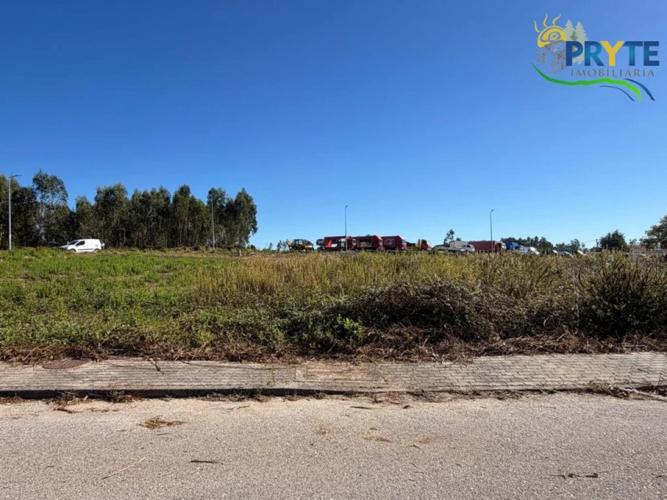 Terreno para Venda em Cernache do Bonjardim, Nesperal e Palhais Foto 5