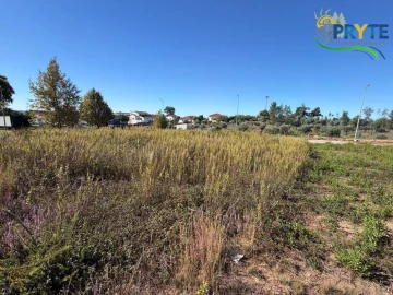Terreno para Venda em Cernache do Bonjardim, Nesperal e Palhais
