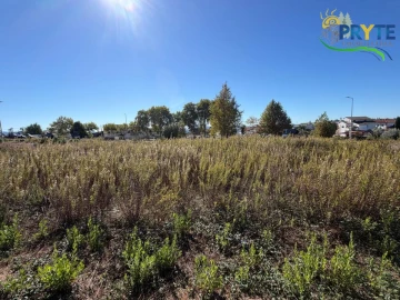 Terreno para Venda em Cernache do Bonjardim, Nesperal e Palhais