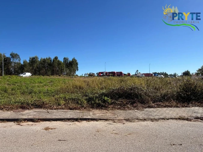 Terreno para Venda em Cernache do Bonjardim, Nesperal e Palhais Foto 5