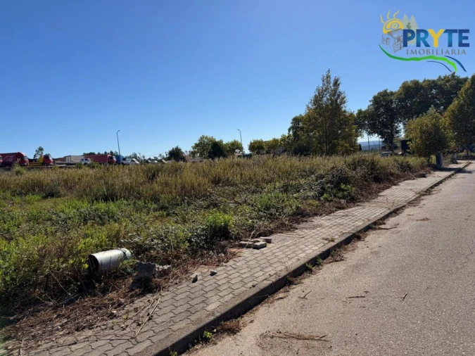 Terreno para Venda em Cernache do Bonjardim, Nesperal e Palhais Foto 6