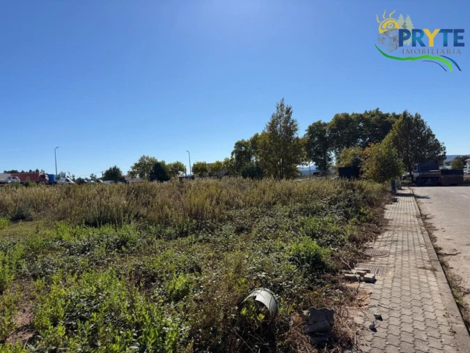 Terreno para Venda em Cernache do Bonjardim, Nesperal e Palhais Foto 7