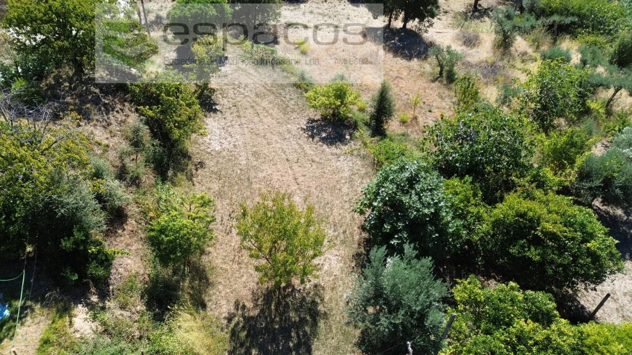 Quinta T4 para Venda em Vale de Prazeres e Mata da Rainha Foto 9