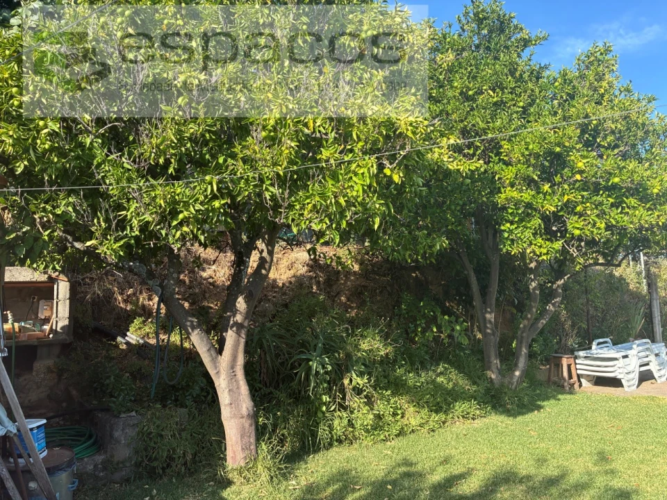 Quinta T4 para Venda em Vale de Prazeres e Mata da Rainha Foto 17
