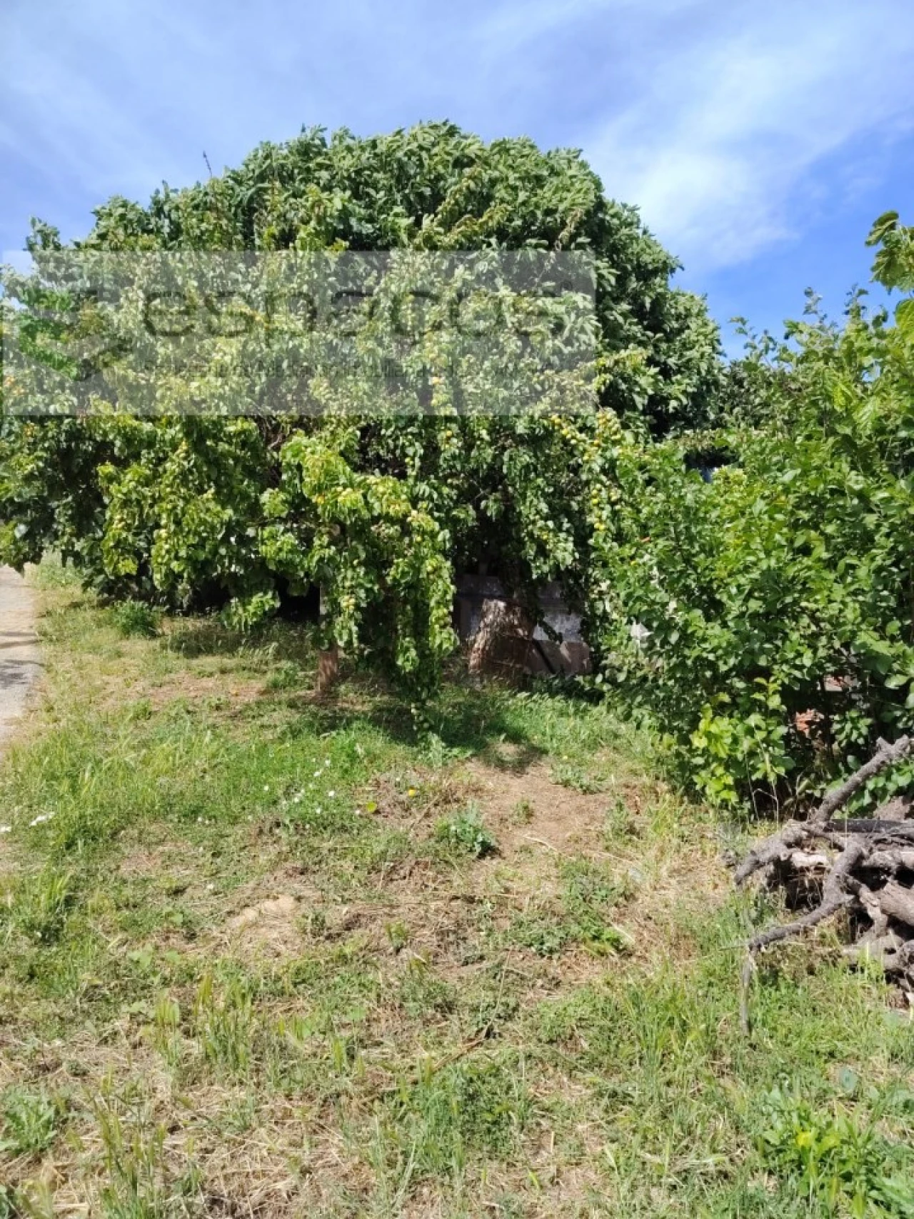 Quinta T4 para Venda em Vale de Prazeres e Mata da Rainha Foto 24
