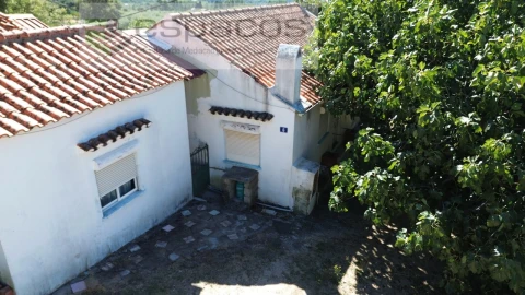 Quinta T4 para Venda em Vale de Prazeres e Mata da Rainha