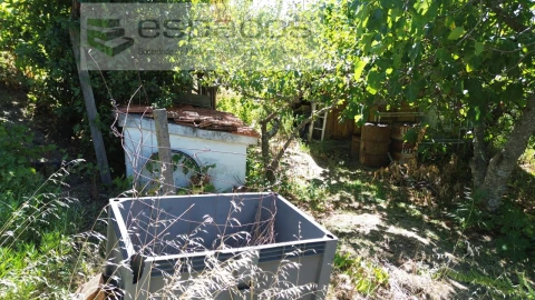 Quinta T4 para Venda em Vale de Prazeres e Mata da Rainha