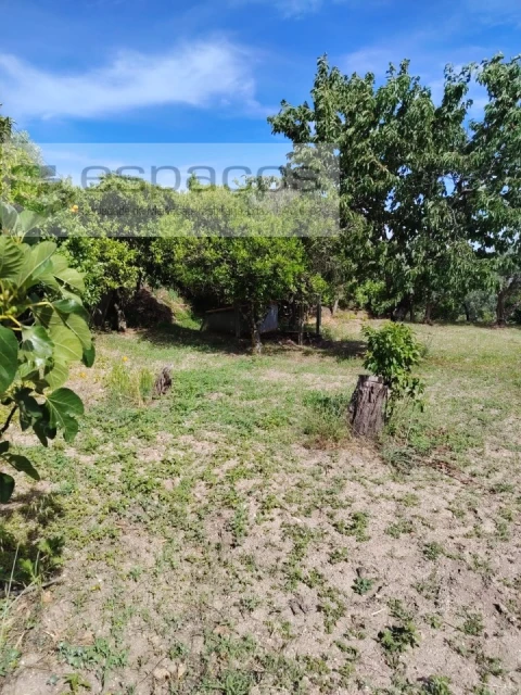 Quinta T4 para Venda em Vale de Prazeres e Mata da Rainha