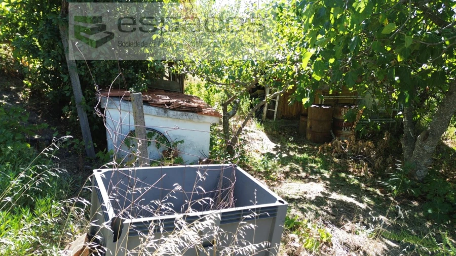 Quinta T4 para Venda em Vale de Prazeres e Mata da Rainha Foto 26