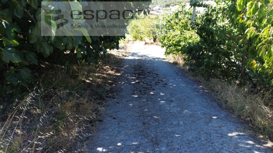 Quinta T4 para Venda em Vale de Prazeres e Mata da Rainha Foto 28