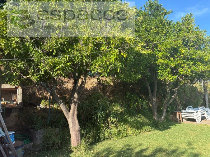 Quinta T4 para Venda em Vale de Prazeres e Mata da Rainha Foto 17