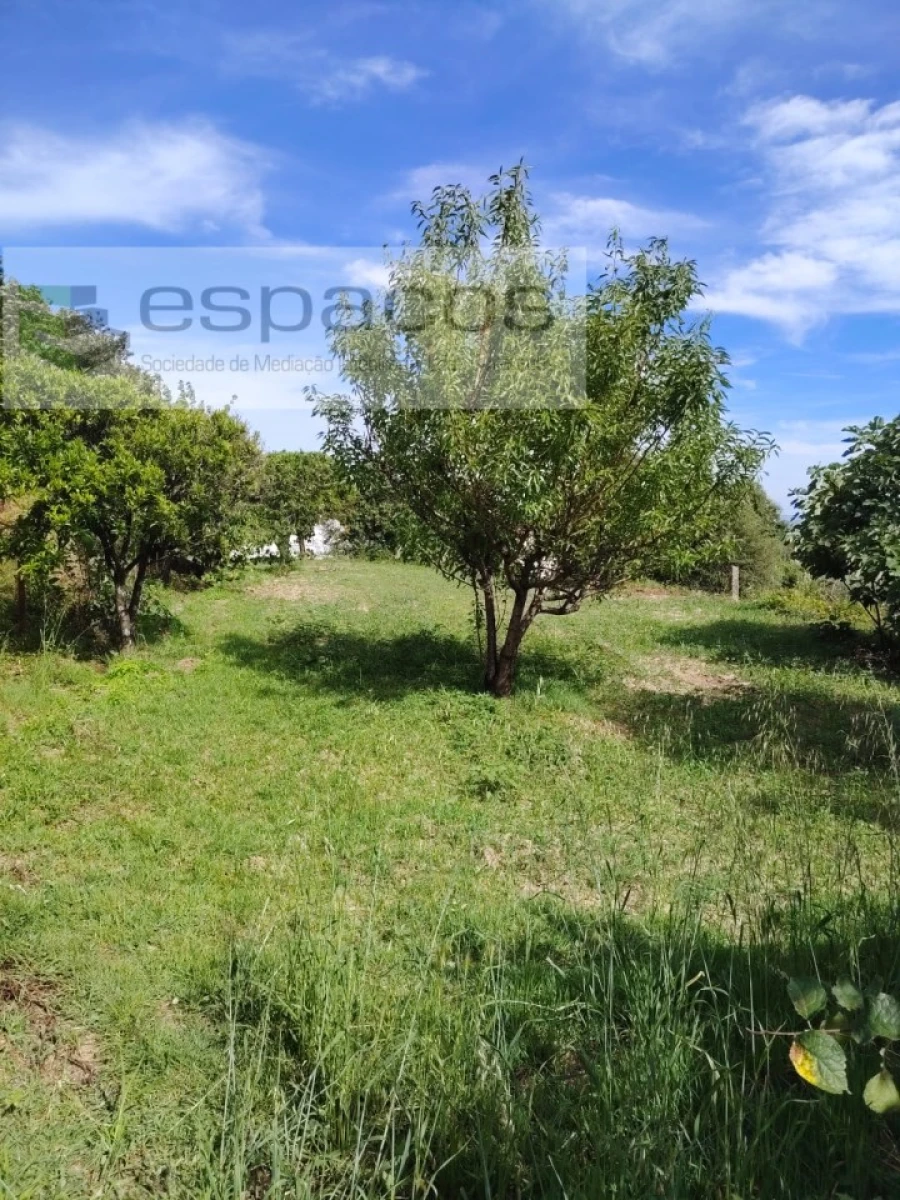 Quinta T4 para Venda em Vale de Prazeres e Mata da Rainha Foto 18