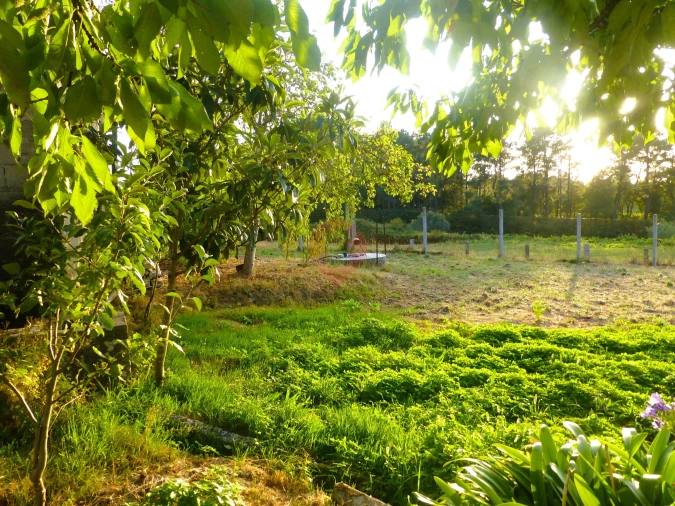 Moradia T4 para Venda em Barbeita Foto 17