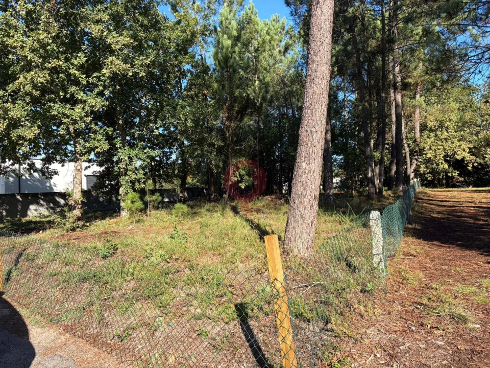 Terreno para Venda em São Pedro da Torre Foto 3