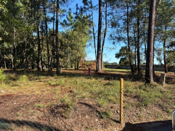 Terreno para Venda em São Pedro da Torre