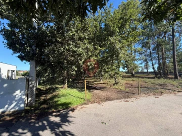 Terreno para Venda em São Pedro da Torre