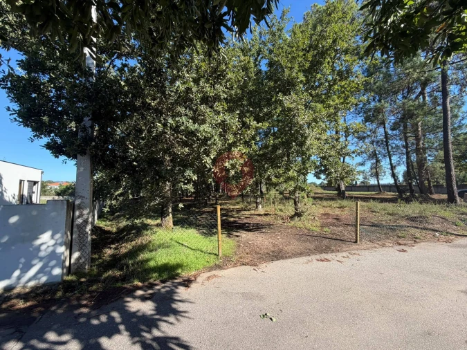 Terreno para Venda em São Pedro da Torre Foto 4