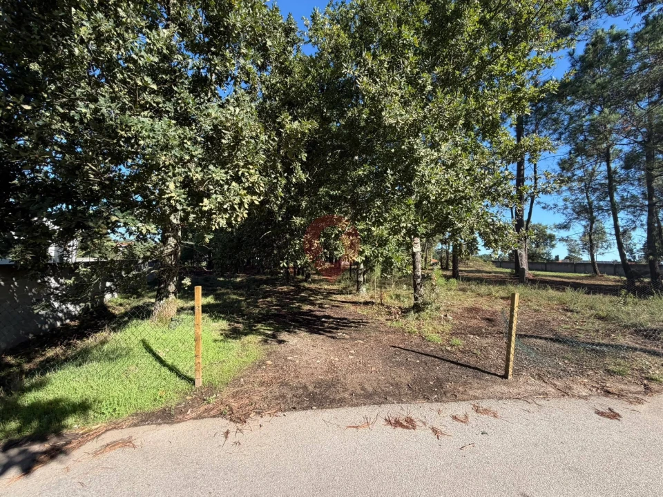 Terreno para Venda em São Pedro da Torre Foto 2