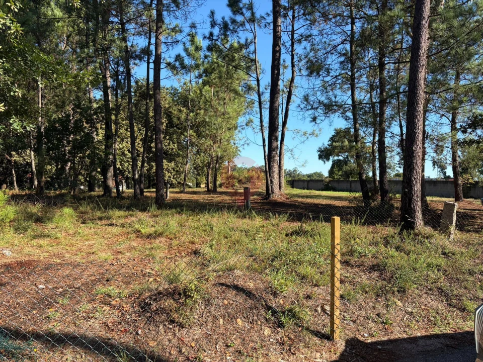 Terreno para Venda em São Pedro da Torre Foto 1