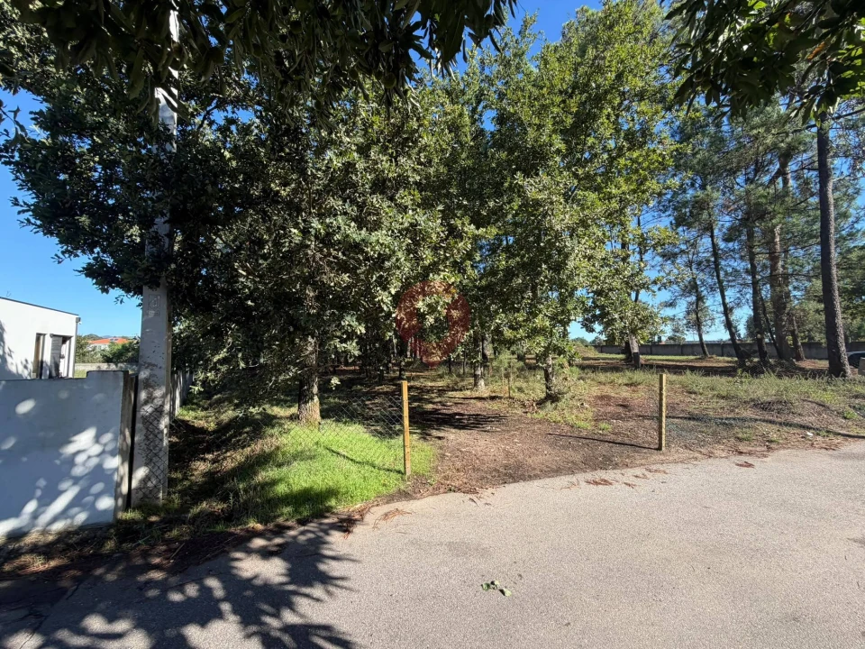 Terreno para Venda em São Pedro da Torre Foto 4