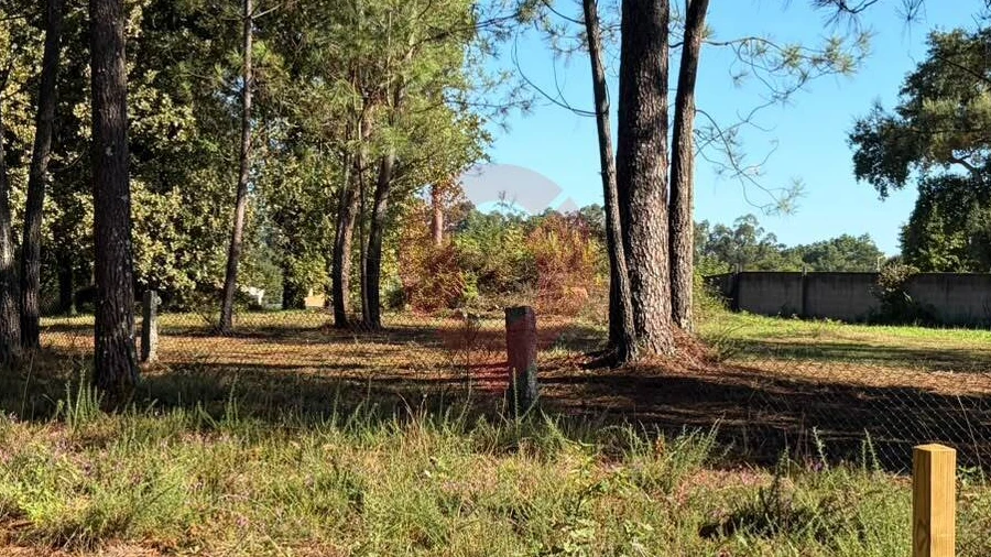 Terreno para Venda em São Pedro da Torre