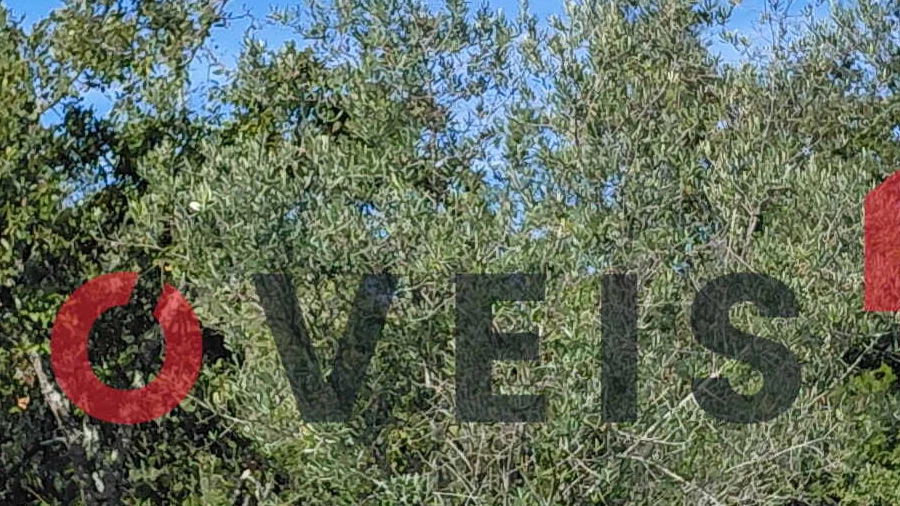 Terreno para Venda em Nossa Senhora da Piedade