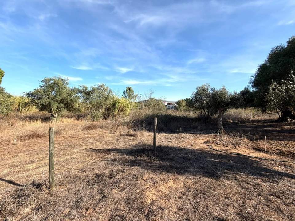 Terreno para Venda em Sesimbra (Castelo) Foto 7