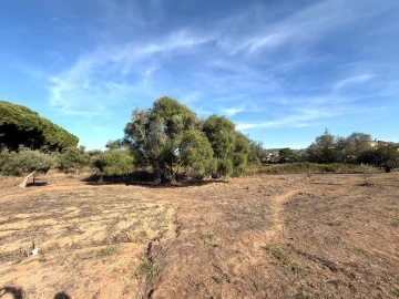 Terreno para Venda em Sesimbra (Castelo)