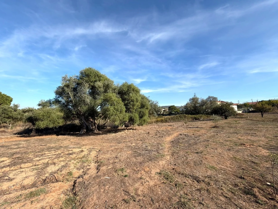 Terreno para Venda em Sesimbra (Castelo) Foto 3