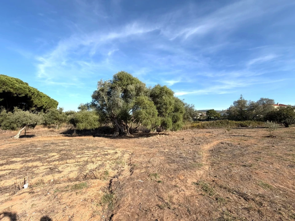 Terreno para Venda em Sesimbra (Castelo) Foto 1