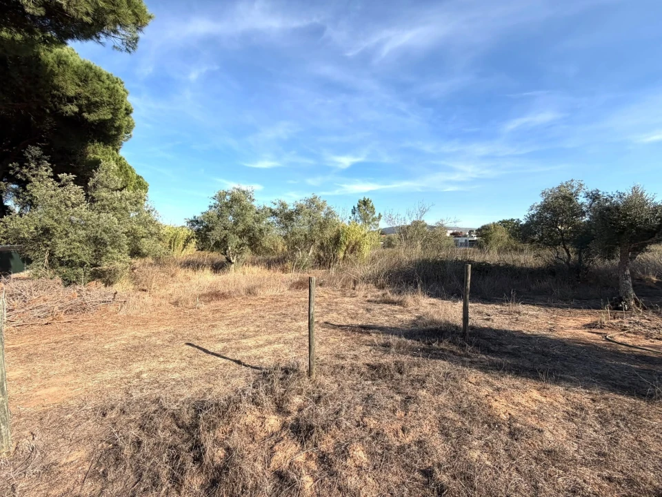 Terreno para Venda em Sesimbra (Castelo) Foto 5