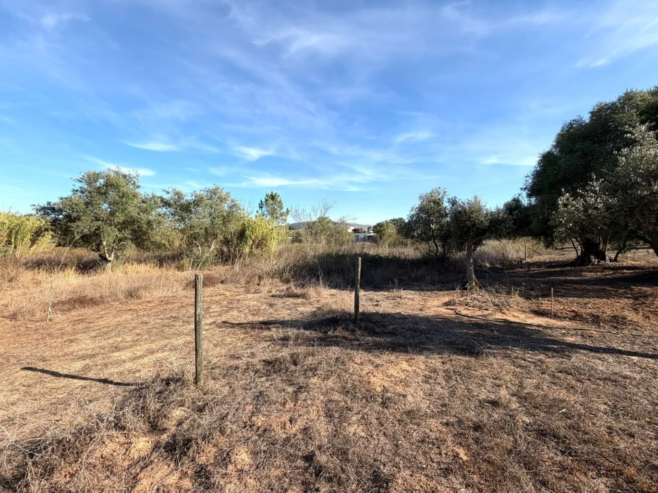 Terreno para Venda em Sesimbra (Castelo) Foto 4