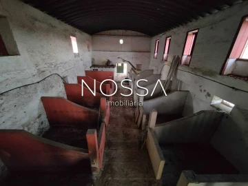 Quinta T9 para Venda em Torres Novas (Santa Maria, Salvador e Santiago)