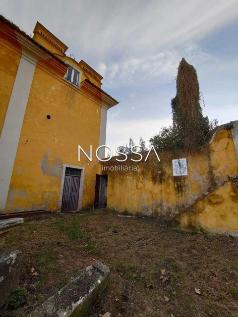 Quinta T9 para Venda em Torres Novas (Santa Maria, Salvador e Santiago)