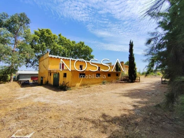 Quinta T9 para Venda em Torres Novas (Santa Maria, Salvador e Santiago)