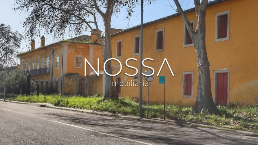 Quinta T9 para Venda em Torres Novas (Santa Maria, Salvador e Santiago)