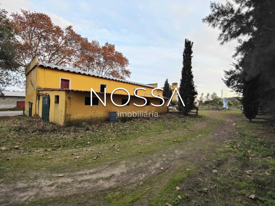 Quinta T9 para Venda em Torres Novas (Santa Maria, Salvador e Santiago) Foto 2