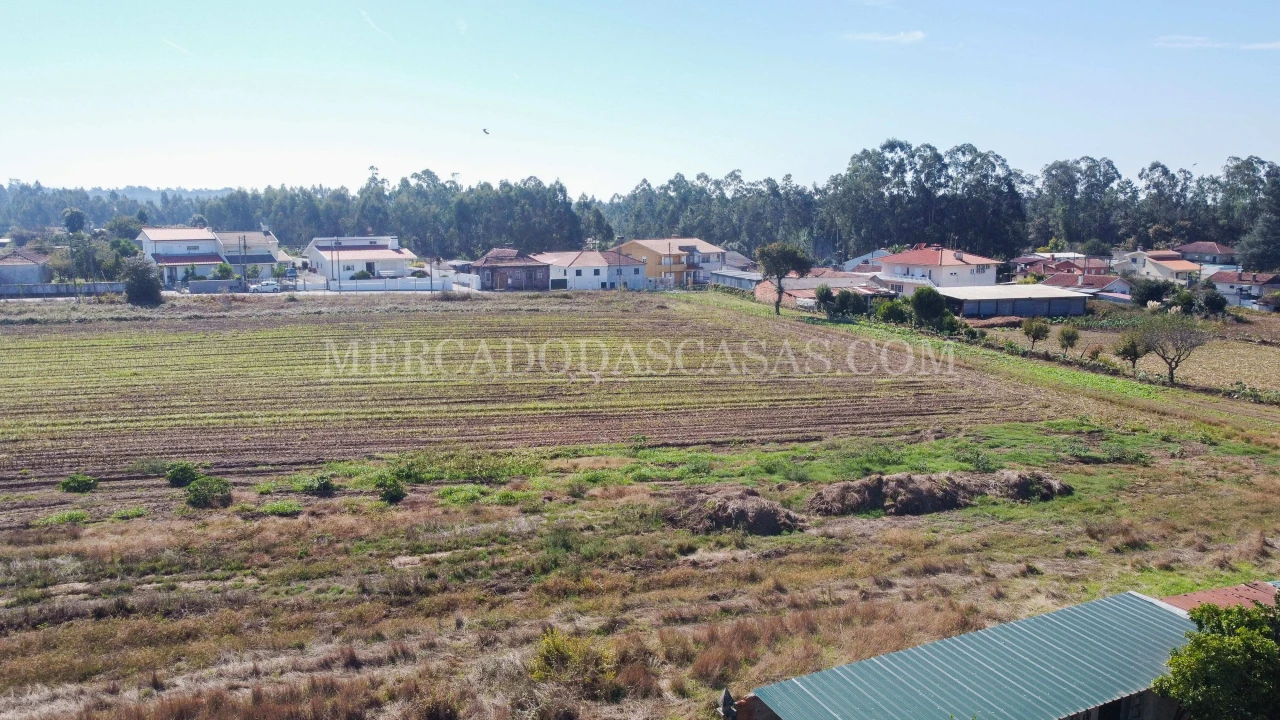 Terreno para Venda em São Miguel do Souto e Mosteirô Foto 13