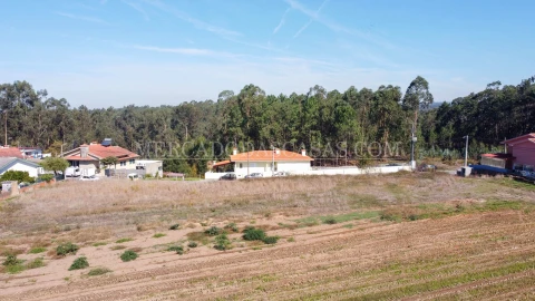 Terreno para Venda em São Miguel do Souto e Mosteirô