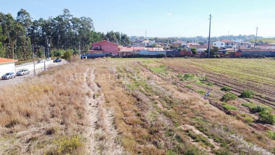 Terreno para Venda em São Miguel do Souto e Mosteirô Foto 2