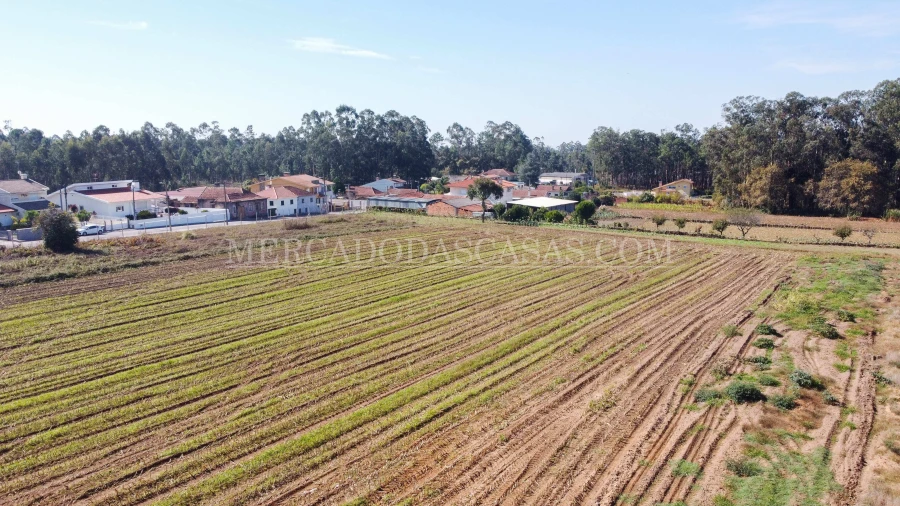 Terreno para Venda em São Miguel do Souto e Mosteirô Foto 8