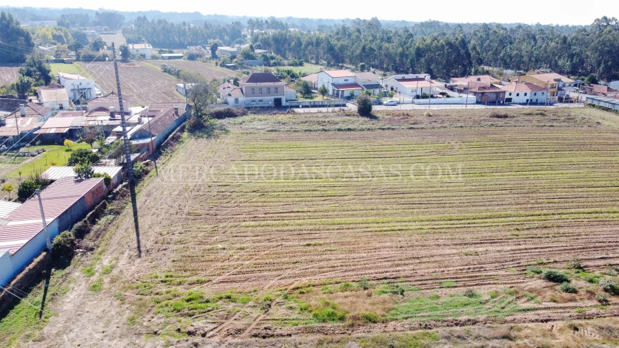 Terreno para Venda em São Miguel do Souto e Mosteirô Foto 10