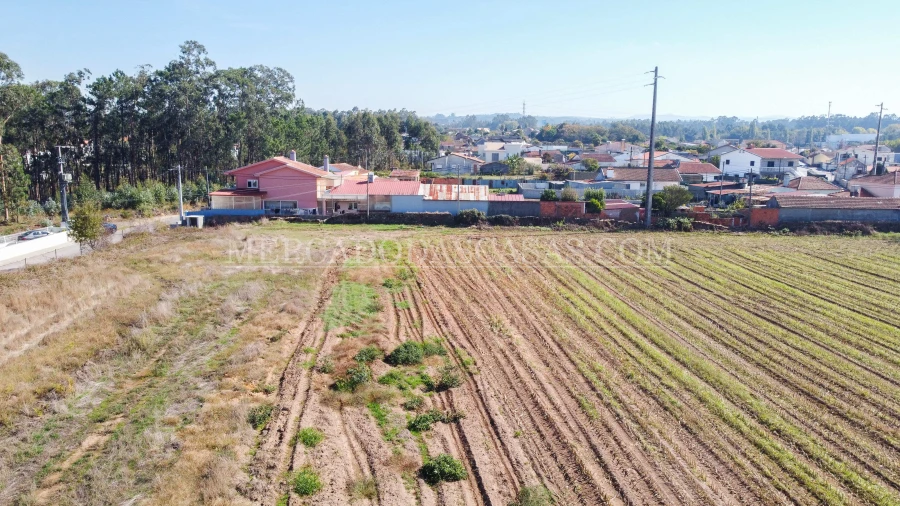 Terreno para Venda em São Miguel do Souto e Mosteirô Foto 15